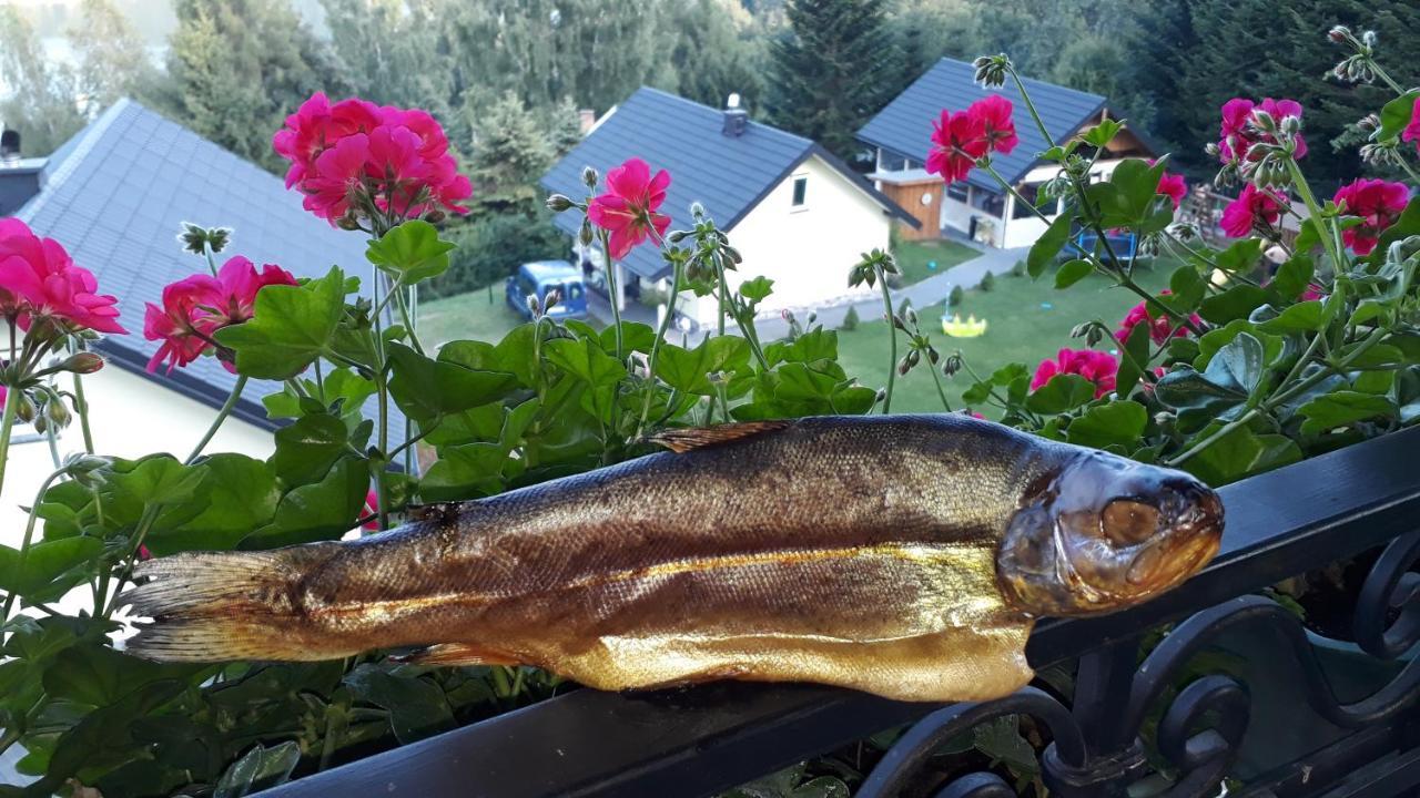 Homestay Arkadia Dom Nad Jeziorem Solinskim *