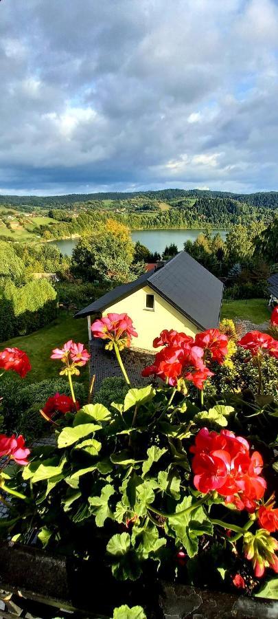 Arkadia Dom Nad Jeziorem Solinskim Homestay Wolkowyja